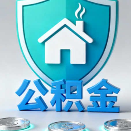 山南公积金代办行业观察：谁在提供专业服务？